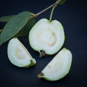 Tropical Guava. free shipping