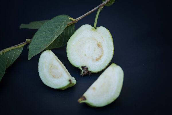 Tropical Guava. free shipping