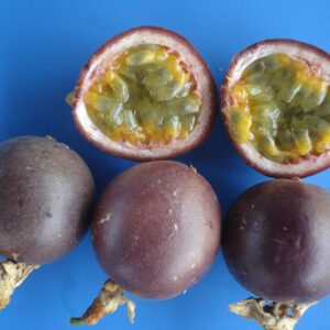 Passion Fruit