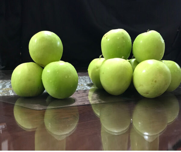 Green Jujube. Taiwan Giant Jujube . Apple jujube (Collection variety)   free shipping - Image 10