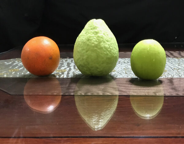 Green Jujube. Taiwan Giant Jujube . Apple jujube (Collection variety)   free shipping - Image 11
