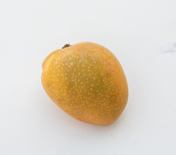 Alphonso