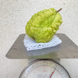 KingKong Guava  >>> Transformers <<< free shipping >>>