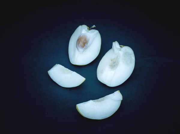 Green Jujube. Taiwan Giant Jujube . Apple jujube (Collection variety)   free shipping - Image 8