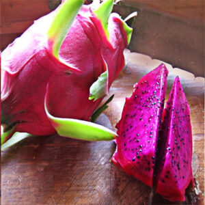 American Beauty Dragon Fruit Plant