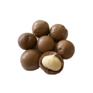 Hawaii Macadamia  ( air layer) free shipping