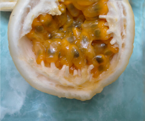 Maracuya Passion Fruit (Cutting) - Image 2