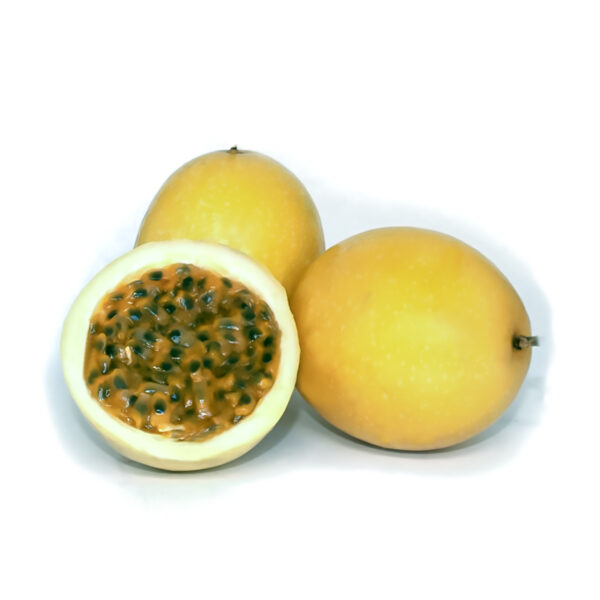 Maracuya Passion Fruit (Cutting) - Image 3