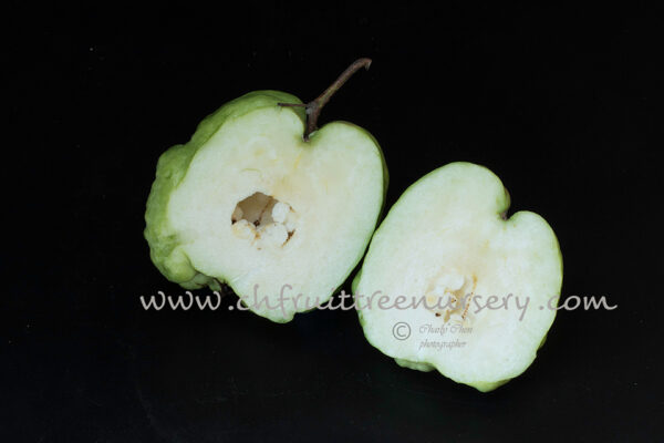 Guava Types - best quality is selected - Image 9