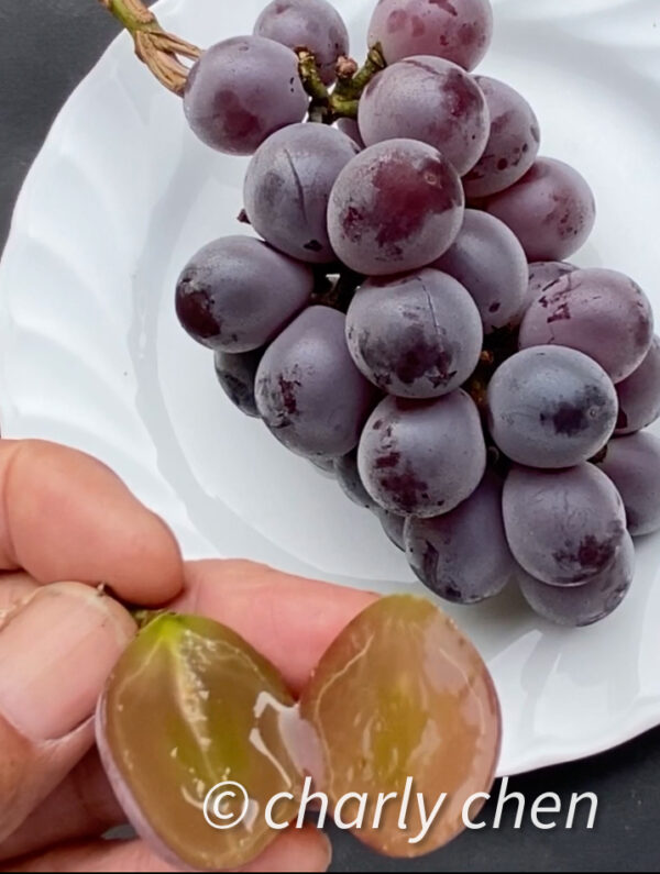 Vitis labruscana vines "Kyoho" improved (Juicy pulp with separation).   free shipping - Image 7