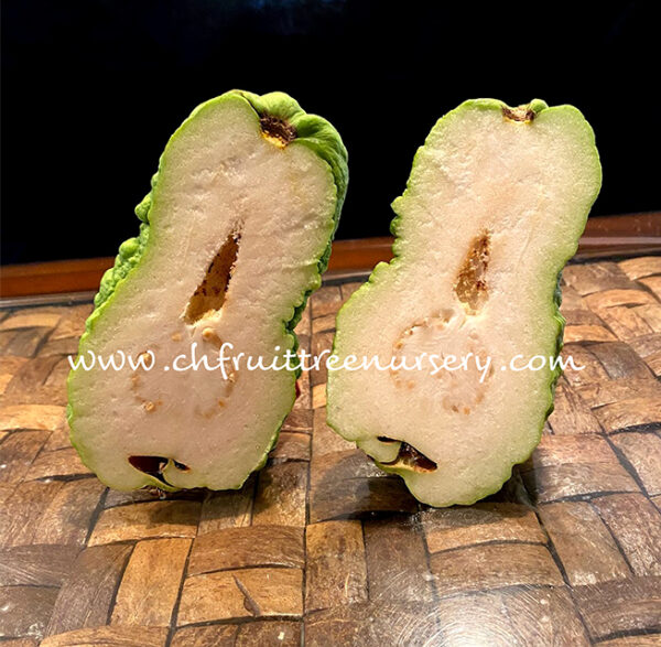 KingKong Guava  >>> Transformers <<< free shipping >>> - Image 7