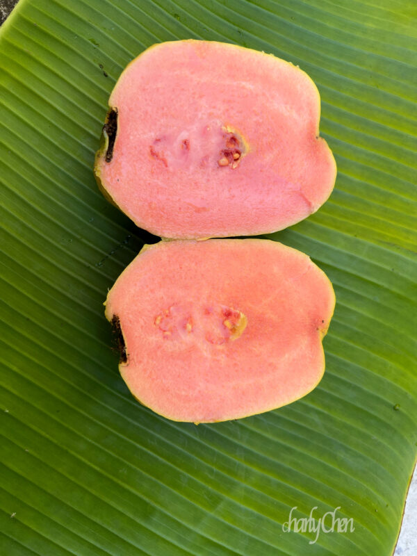Tatwan Ruby Guava.  free shipping - Image 4