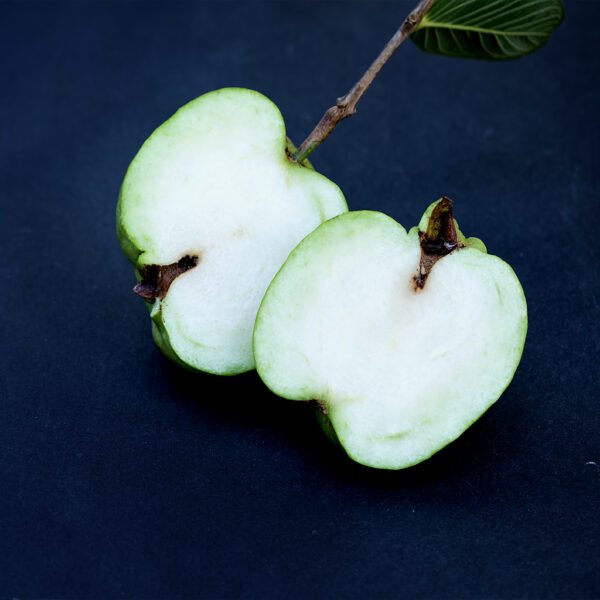 Taiwan Seedless Guava (Apple guava) Limited production . free shipping - Image 4