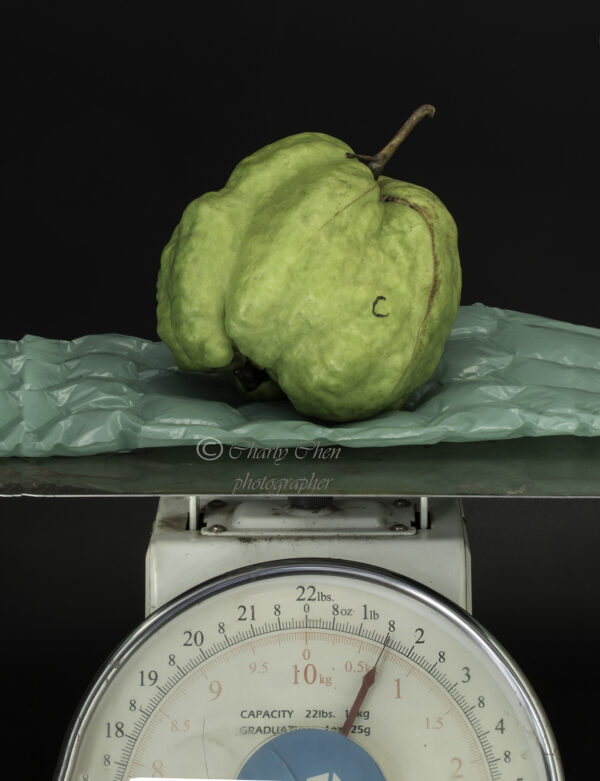 Crystal Guava seedless ( Queen guava , Diamond Guava ) Limited production - free shipping - Image 9