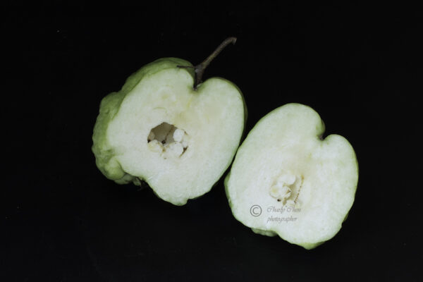 Crystal Guava seedless ( Queen guava , Diamond Guava ) Limited production - free shipping - Image 8