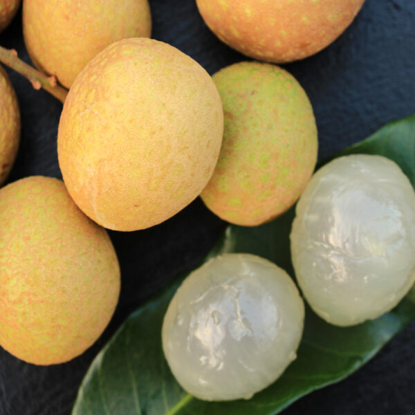 Longan Air Layer. ( Huge Longan Collection  ) - Image 4