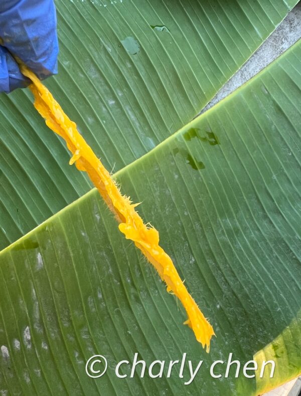 Nam Doc Mai mango - Image 5