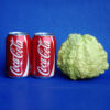 Giant Guava _World largest! - Image 2