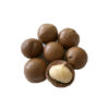 Hawaii Macadamia  ( air layer) free shipping