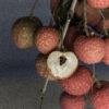 Emperor lychee ( largest of the lychee) - Image 6