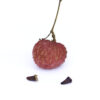 Emperor lychee ( largest of the lychee) - Image 4