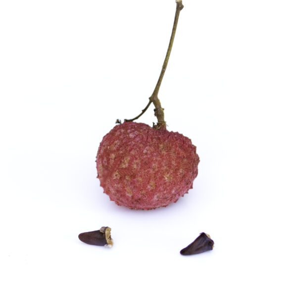 Emperor lychee ( largest of the lychee) - Image 4