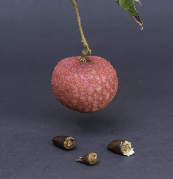 Sweet Heart Lychee - Image 3