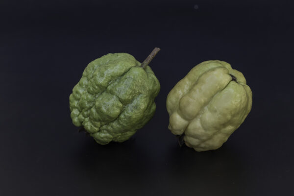 Indonesia Seedless Guava - Unique  aroma& great fruit must have - Image 5