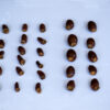 Emperor lychee ( largest of the lychee) - Image 8