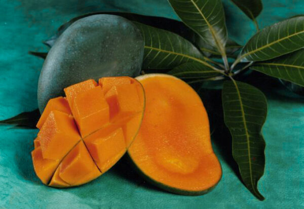 Arumanis Mangoes        (Green Mango) - Image 4