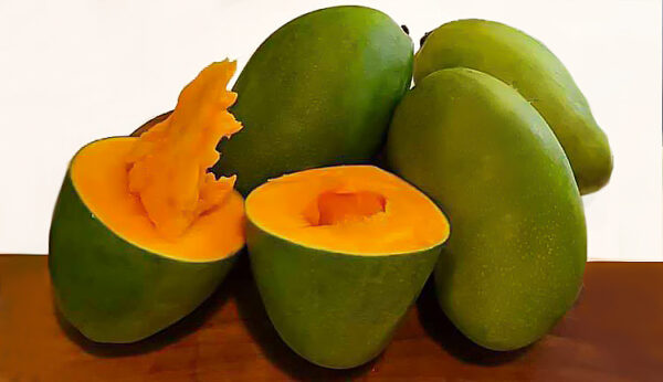 Arumanis Mangoes        (Green Mango)