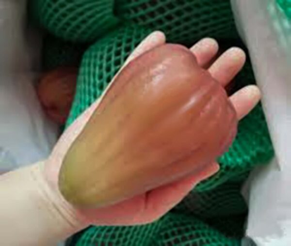 Perfume Wax Apple. free shipping - Image 4