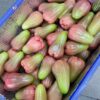 Perfume Wax Apple. free shipping - Image 2