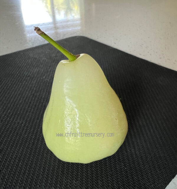 Green Diamond Wax Apple ( Thai Green wax Apple)free shipping - Image 8