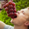 Ruby Roman red grapes. ( Collection. limited production ) - Image 2