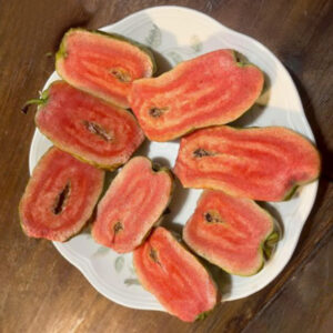 Thai ruby seedless guava  . Collection --- full of fragrance and different taste . free shipping