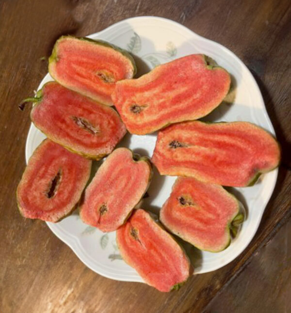 Thai ruby seedless guava  . Collection --- full of fragrance and different taste . free shipping
