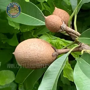 122152033 3573482132708969 5296625609735586388 n