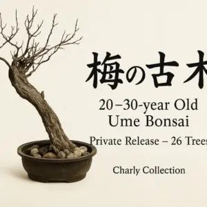 chatgpt image nov 20, 2025, 04 28 11 pm